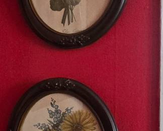Vintage Floral Pictures