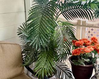 Faux Plants /Palm