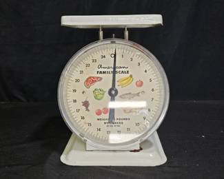 Vtg American Family Scale Co Household 25# Scale