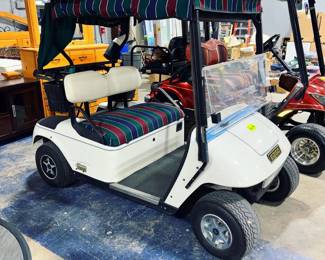 Electric Golf Cart Orlando Estate Auction