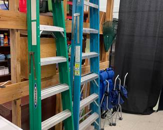 Werner 6' & 8' ladders