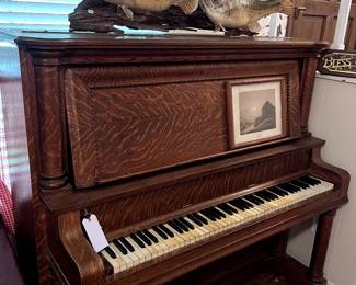 tiger oak piano, taxidermy