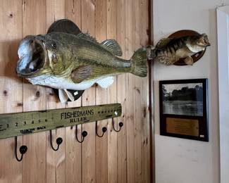 taxidermy fish