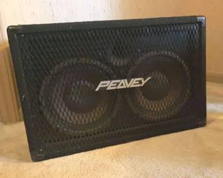 099 Peavey Bass Speaker