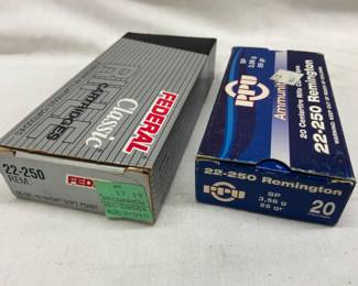 Federal Classic and PPU .22-250