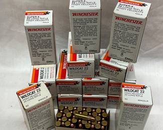 22 LR High Velocity Ammunition