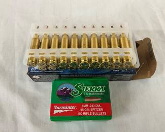and Sierra Varminter 6mm Bullets
