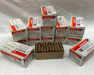 Ammunition (700 Rounds Total)