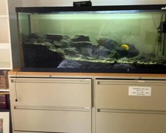 Aquarium and Assortment of Fish