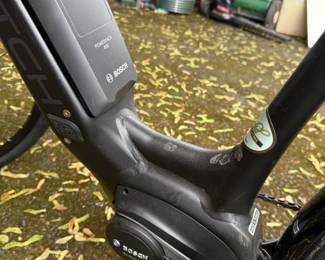 Bosch e-Bike