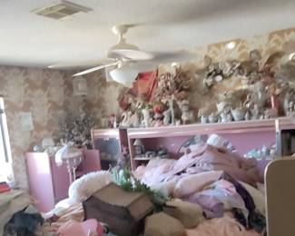 Room with lots of collectibles