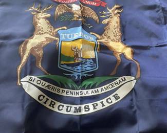 NEW MICHIGAN STATE FLAG