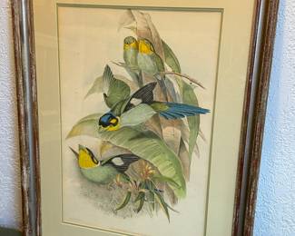 John Gould