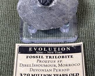 Trilobite