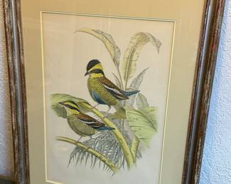 John Gould