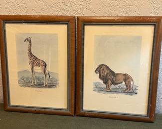Framed animal prints