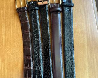 Alligator Belts