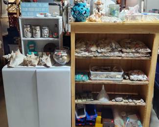 Shells and beach glass