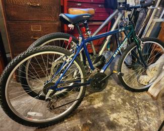 Raleigh USA M-20 bike and
Specialized Expedition Sport bike
