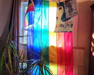 Rainbow flags