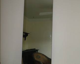 Tall back of the door mirror