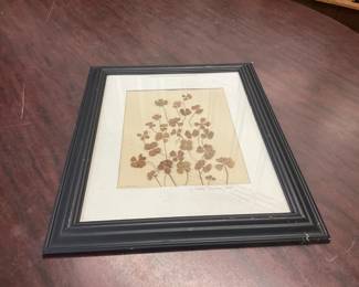 Framed Pressed Four Leaf Clovers "Lucky Summer 2005"