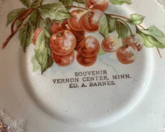 Vernon Center, MN Souvenir Plate