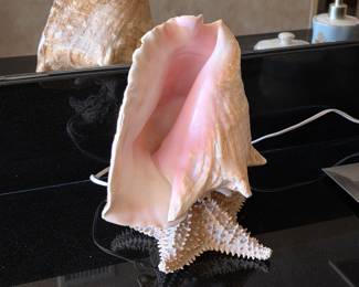 Vintage conch shell lamp