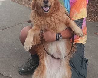Our guest dog of the week is Winchester.  Winchester enjoys chasing squirrels and long walks in the woods.   She does not like cats, so no pictures of my cats this week!