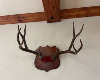 Horns