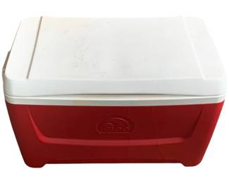 28 - Igloo Cooler 15 x 24 x 14
