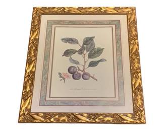 36 - Framed Print 24 x 19