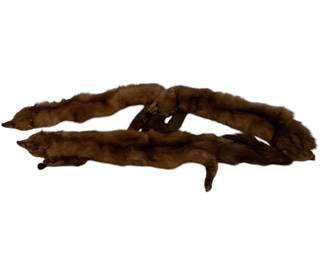 139 - Vintage Mink Stoles