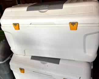 Igloo coolers