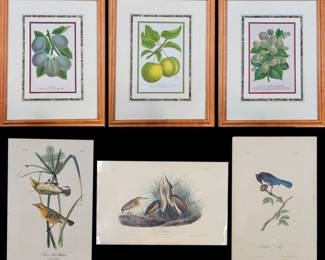 Botany & Bird Prints After Pierre-Joseph Redoute & J.J. Audubon W/ COA, 6 Pieces
