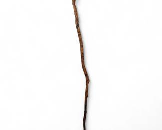 Ceremonial Plains Indian Tribal Walking Stick Depicting Shamanistic Rituals And Zoomorphic Creatures
