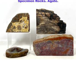 Lot 848 4pcs Petrified Wood and Quartz Specimen Rocks. Agate. 