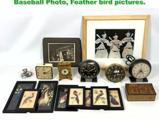 Lot 1721 Mixed Lot. Small desk clocks, Baseball Photo, Feather bird pictures.