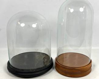 Lot 1529 2pcs Victorian style glass domes