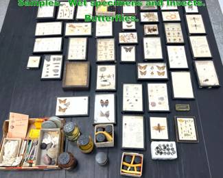 Lot 1736 48 pcs Scientific Experiment Samples. Wet specimens and Insects. Butterflies. 