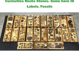 Lot 1737 23 cases Collector s Cabinet Curiosities Rocks Stones. Some have ID Labels. Fossils
