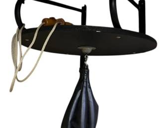 Everlast Mounted Speed Bag