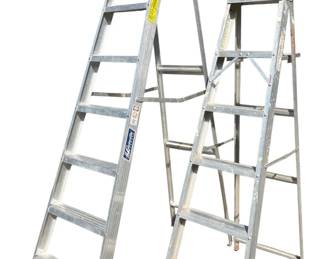 6 And 8 Aluminum Step Ladders