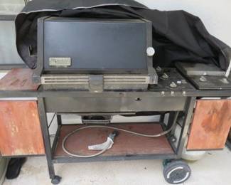 Old Weber Gas Grill