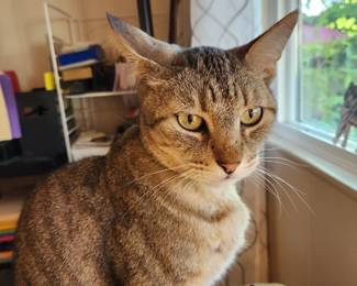 Leo...I have been watching over pricing and we are doing purrrect! 