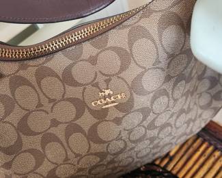 Yes, it's a consignment of seven Coach Bags! 