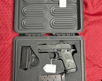 1. 2012 Sig Sauer P238 Extreme .380