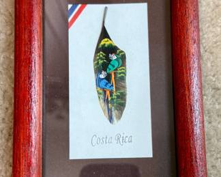 Framed hand-painted feather from Costa Rica
