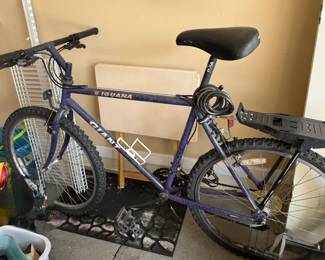 Men's Giant Iguana bicycle