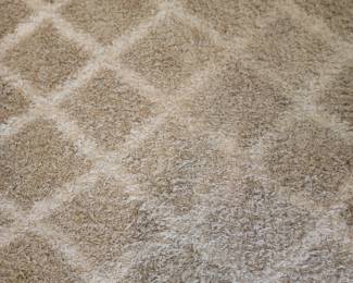 Safavleh Dallas Shag 8 x 10 Beige &Ivory Rug made in Turkey